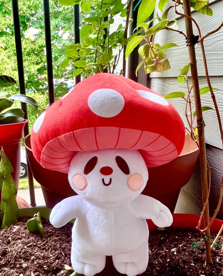 Mushroom Plush Collection - Adorable Soft Toy Fungi